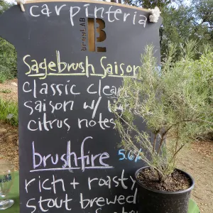 SBBG Beer Fest