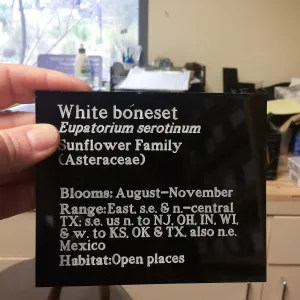 Information labels at Lady Bird Johnson Wildflower Center