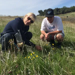 Figeuroa Mtn, wildflower hunters at Fritillaria site