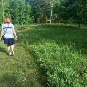 North Carolina Arboretum, mown path