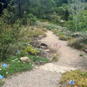 Tilden Regional Parks Botanic Garden