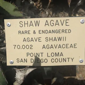 Plant signs at Tilden Regional Parks Botanic Garden
