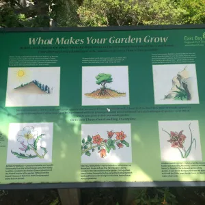 Signage at Tilden Regional Parks Botanic Garden