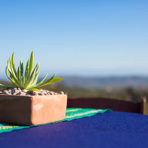 Tequila Sunset 2016
