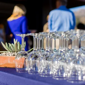 Tequila Sunset 2016