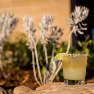Tequila Sunset 2016