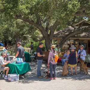 Trails â€˜n' Tails 2016