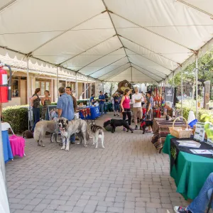 Trails â€˜n' Tails 2016, vendor tables in Courtyard