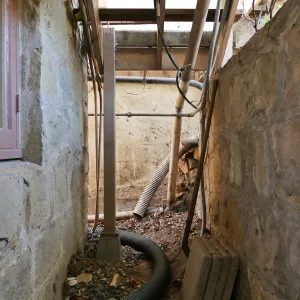 Herbarium steps removed for fumigation