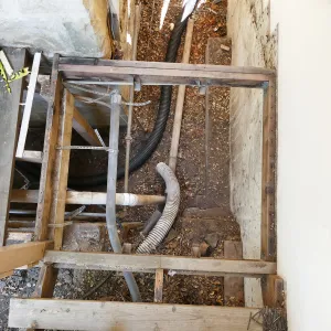 Herbarium steps removed for fumigation
