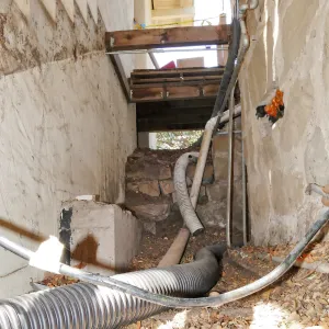 Herbarium steps removed for fumigation