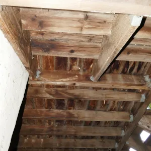 Underside of Herbarium porch from east