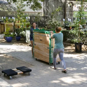 2016 Herbarium Collection Move