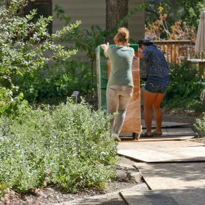 2016 Herbarium Collection Move