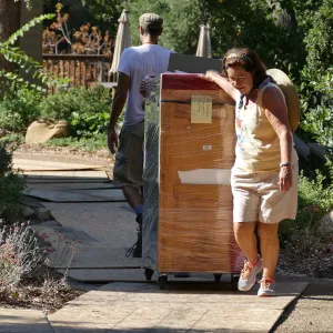 2016 Herbarium Collection Move