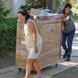 2016 Herbarium Collection Move