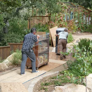 2016 Herbarium Collection Move