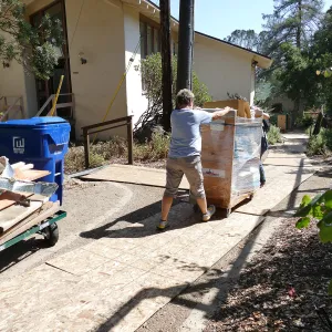 2016 Herbarium Collection Move