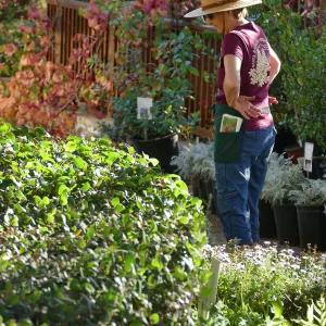 2016 Fall Native Plant Sale Preview Party