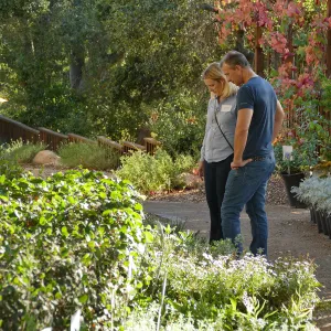 2016 Fall Native Plant Sale Preview Party