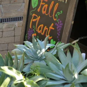 2016 Fall Native Plant Sale Preview Party
