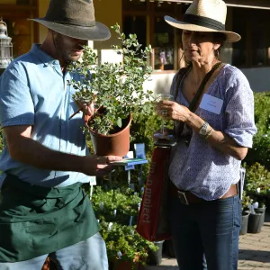 2016 Fall Native Plant Sale Preview Party