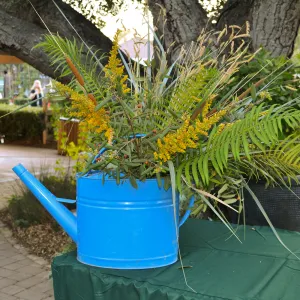 2016 Fall Native Plant Sale Preview Party