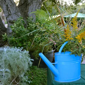 2016 Fall Native Plant Sale Preview Party