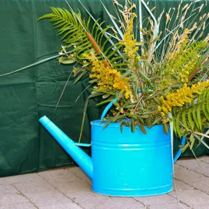 2016 Fall Native Plant Sale Preview Party