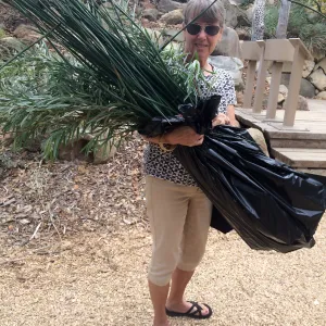 Yarn Bomber collecting Scirpus and Salix