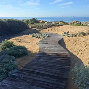Touring gardens with Isabelle Greene, Sand Point Road, Carpenteria