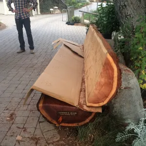 Installation of the Katherine Muller bench