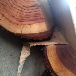 Installation of the Katherine Muller bench