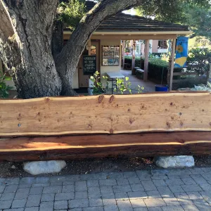 Katerine Muller bench