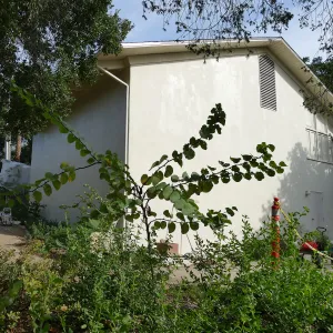 Old Herbarium, now Education Center, repainting