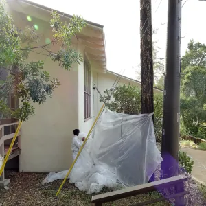 Old Herbarium, now Education Center, repainting
