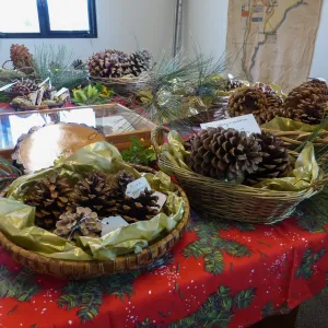 John Robert Haller Memorial, pine cone display