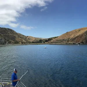 Santa Cruz Island Trip, from the boat