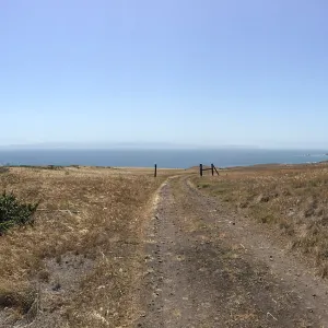 Santa Cruz Island Trip, group explores grasslands