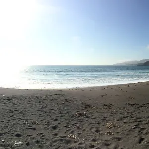 Santa Cruz Island Trip, Group explores Christy Beach