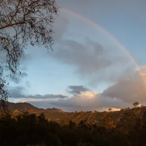 Rainbow