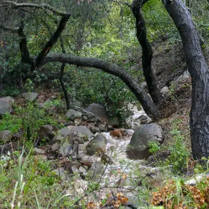 Stormwater above well tank