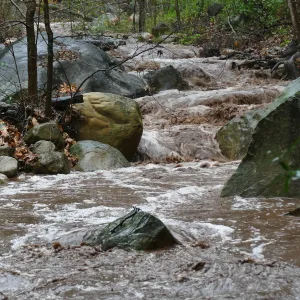 Mission Creek during rainstorm, just above lower crossing