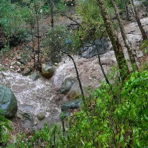 Mission Creek during rainstorm, just above lower crossing