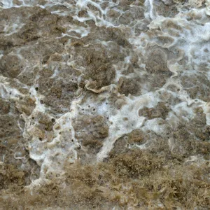 Whitewater below Mission Dam during rainstorm
