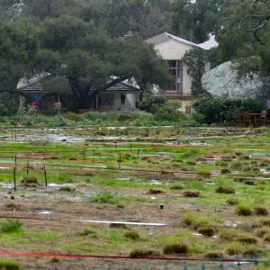 Meadow, Garden Shop, Blaksley Library in rain