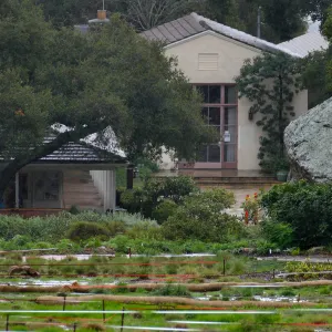 Meadow, Garden Shop, Blaksley Library in rain
