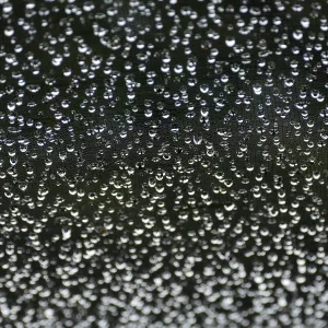 Rainwater hanging from shadecloth in Garden Growers Nursery