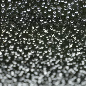 Rainwater hanging from shadecloth in Garden Growers Nursery