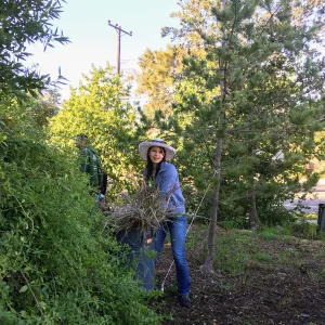 Martin Luther King Day of Service, SBBG staff working at Monte Vista School